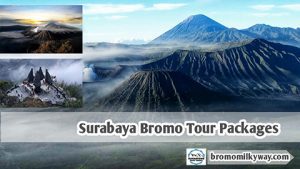 Surabaya Bromo Tour Packages